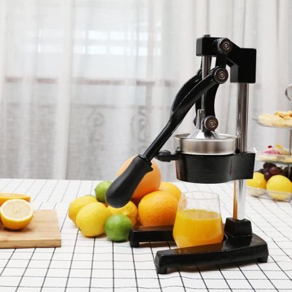 Hand-Press Juicer