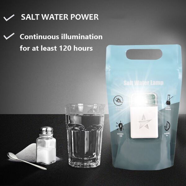 Salt Water Lamp