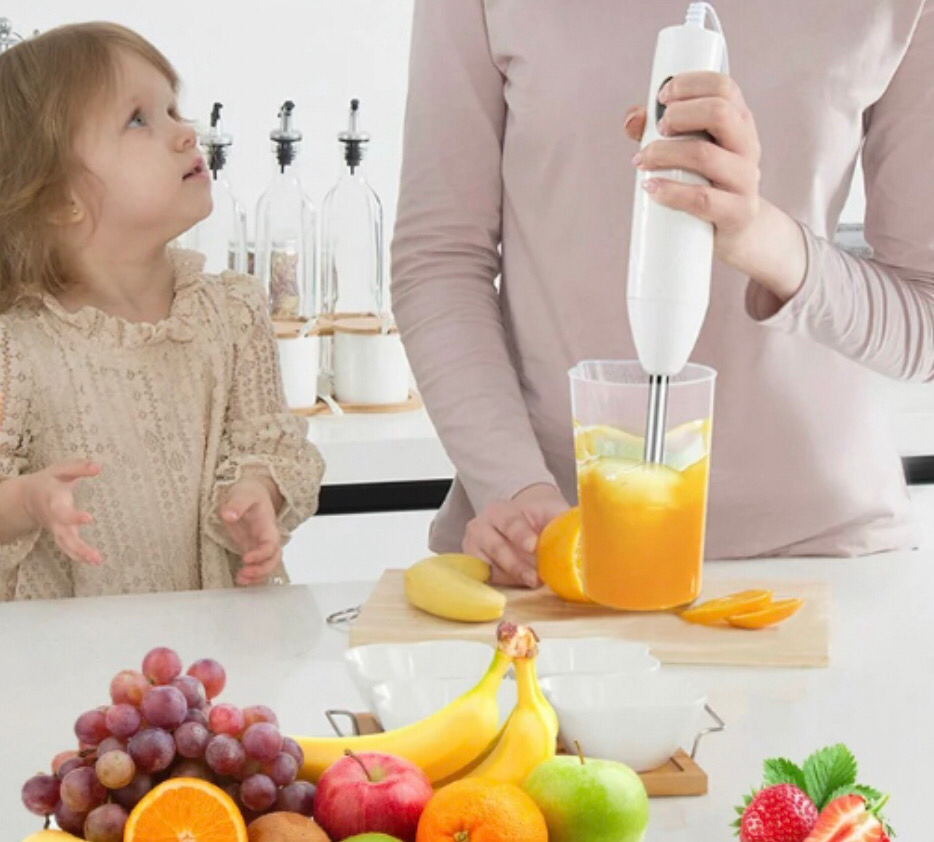 Hand Blender (S-8887)