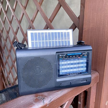 Solar Radio