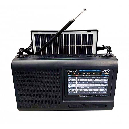 Solar Radio