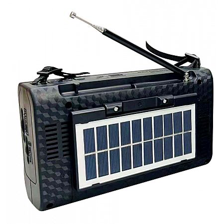 Solar Radio