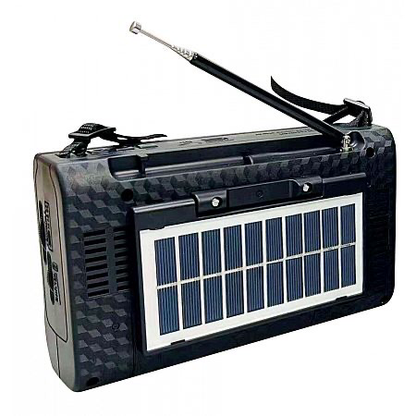 Solar Radio