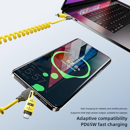 4-in-1 Data Cable
