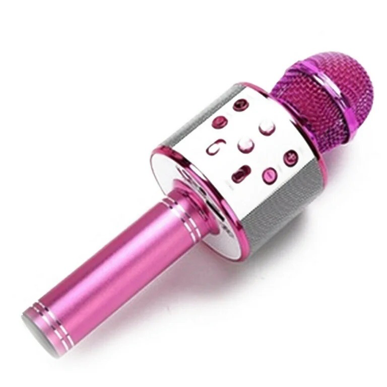 Karaoke Microphone
