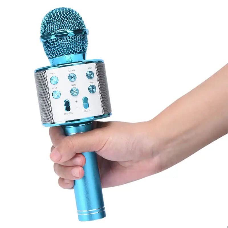 Karaoke Microphone