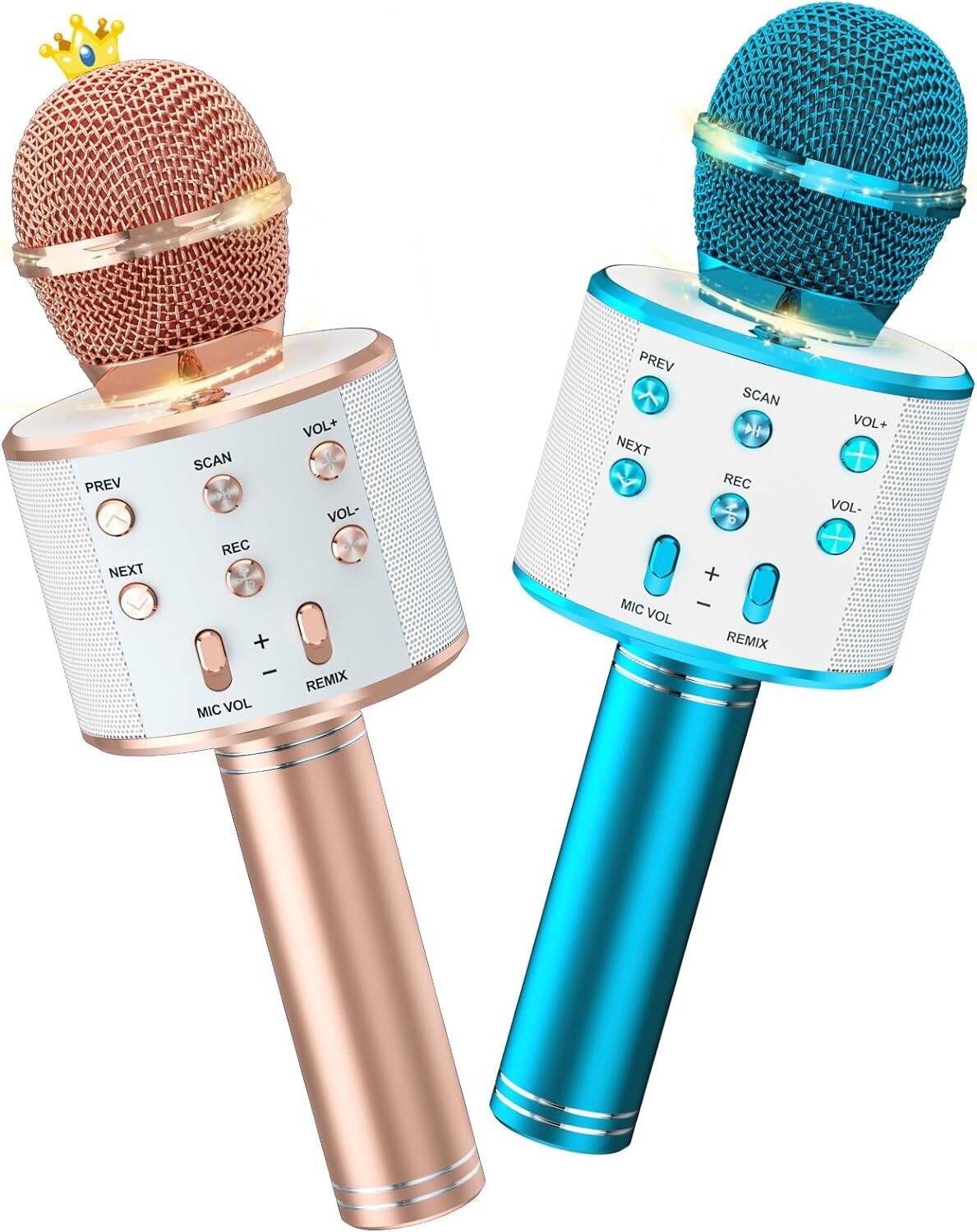 Karaoke Microphone