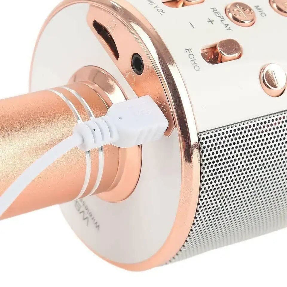 Karaoke Microphone