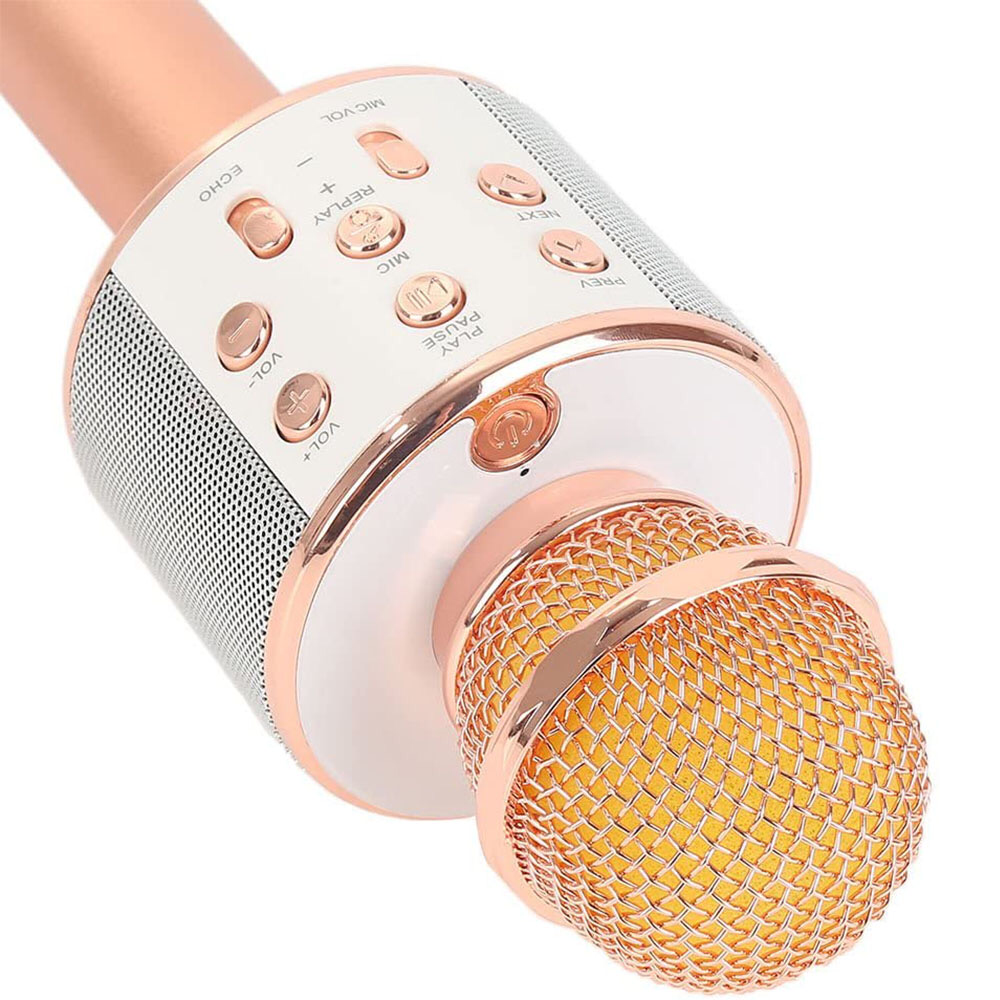 Karaoke Microphone