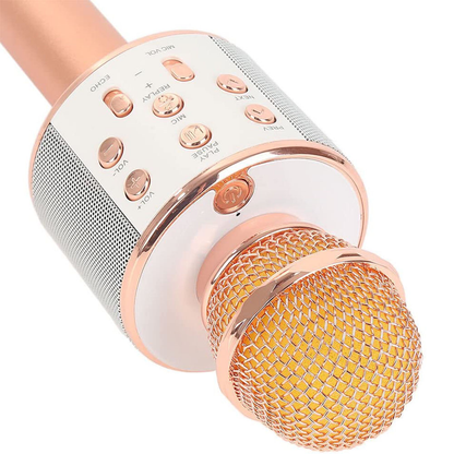 Karaoke Microphone