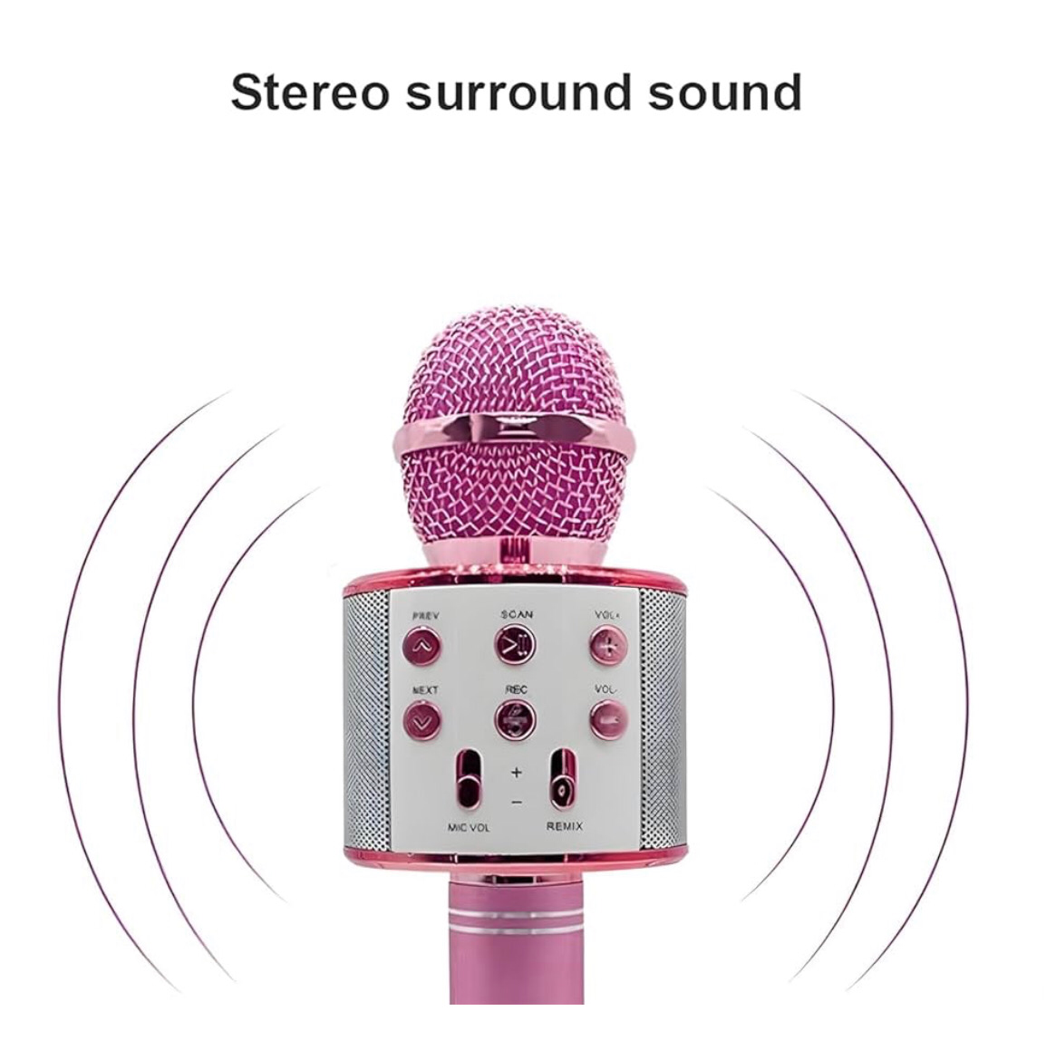 Karaoke Microphone