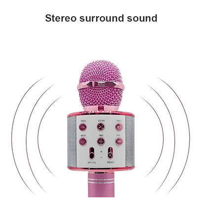 Karaoke Microphone