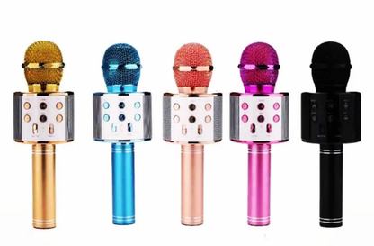 Karaoke Microphone