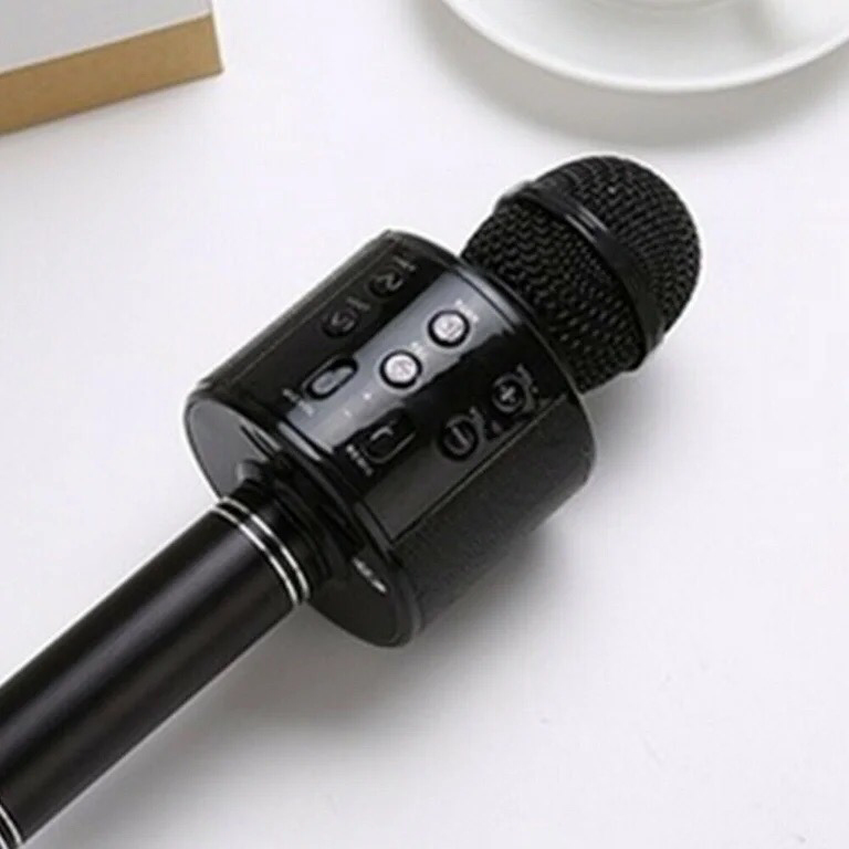 Karaoke Microphone