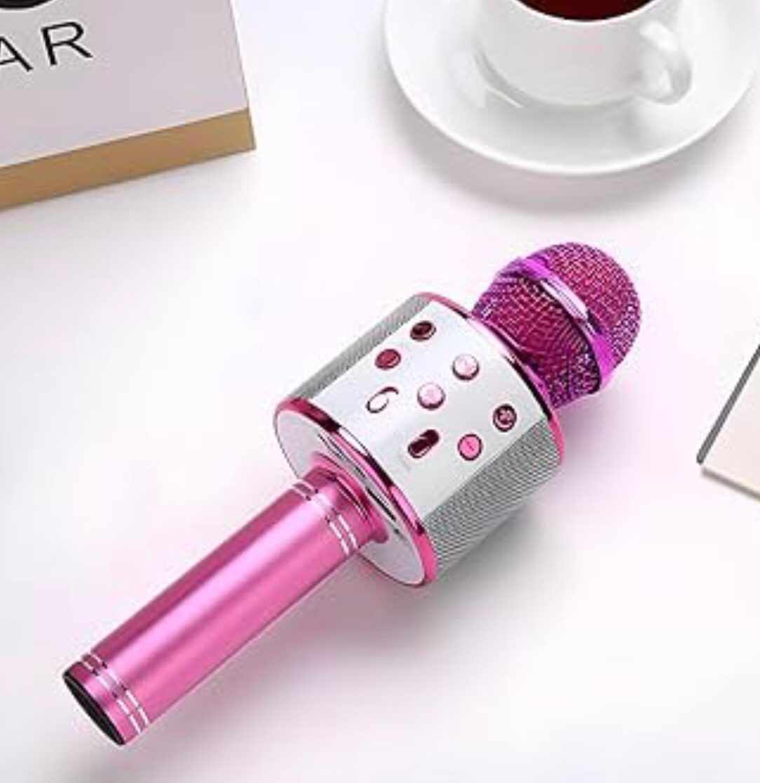 Karaoke Microphone