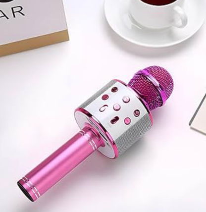 Karaoke Microphone