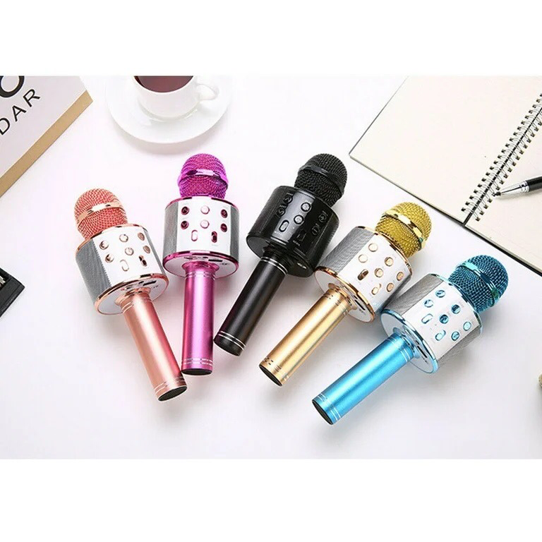 Karaoke Microphone