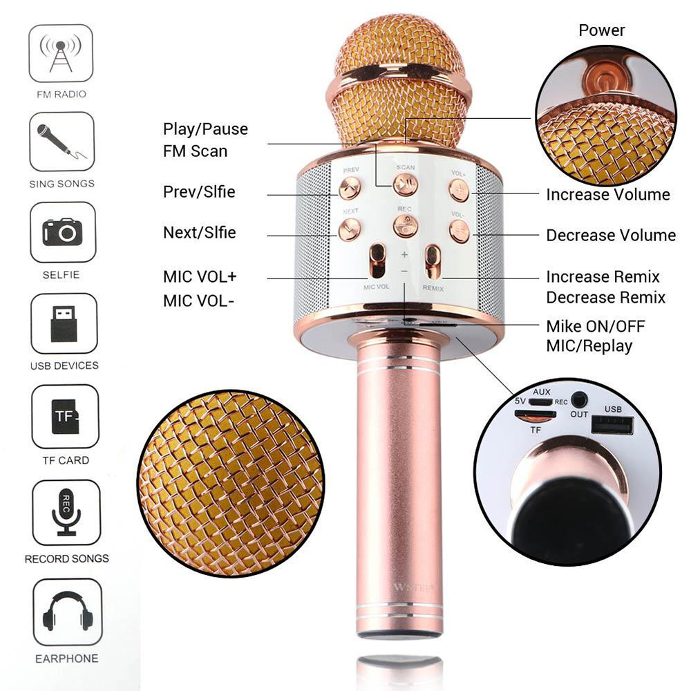 Karaoke Microphone