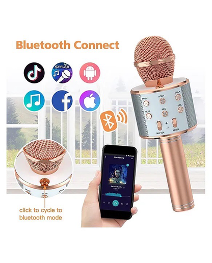 Karaoke Microphone