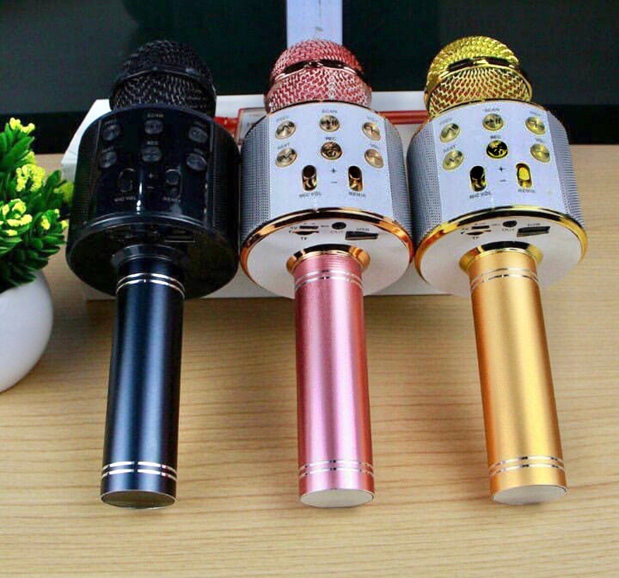 Karaoke Microphone
