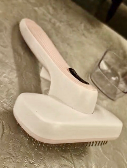 Auto-Clean Pet Brush