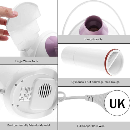 Ionic Facial Steamer