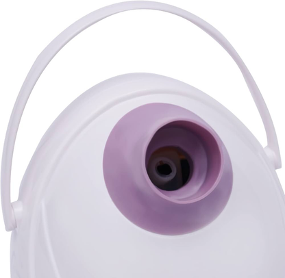 Ionic Facial Steamer