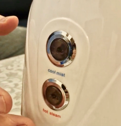 Ionic Facial Steamer