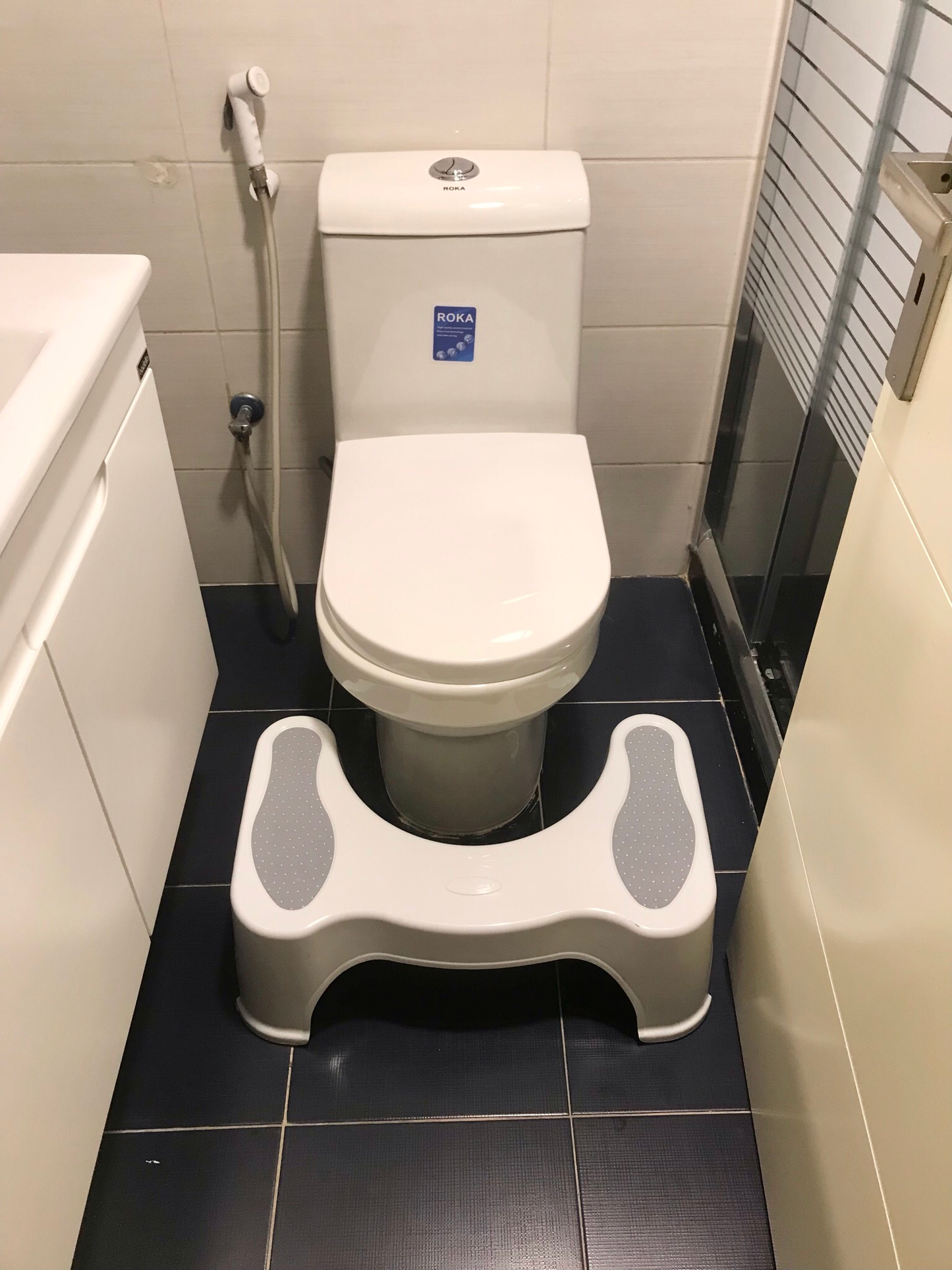 Toilet Step Stool