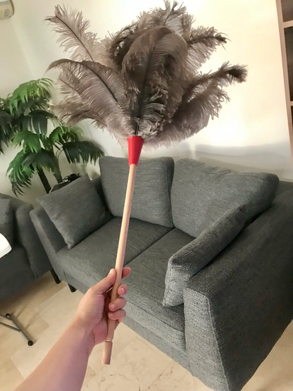 Feather Duster