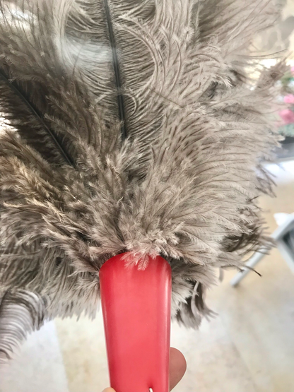 Feather Duster