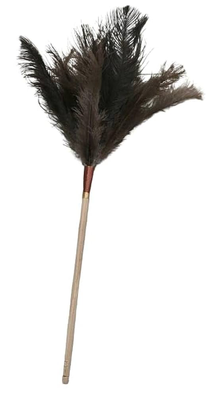 Feather Duster