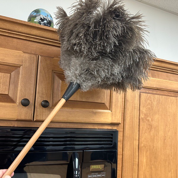 Feather Duster