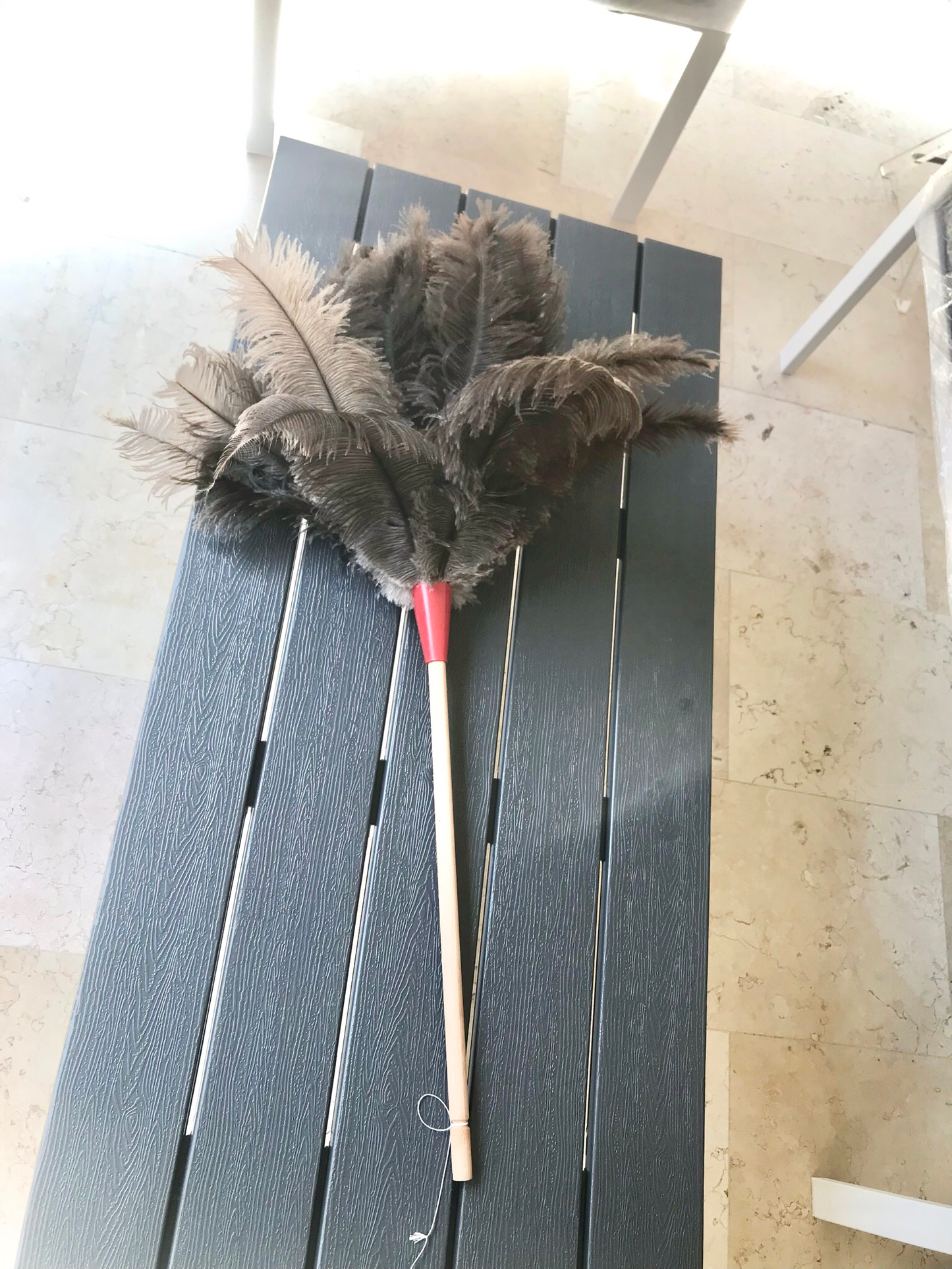 Feather Duster