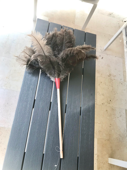 Feather Duster