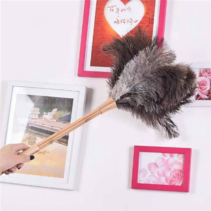 Feather Duster