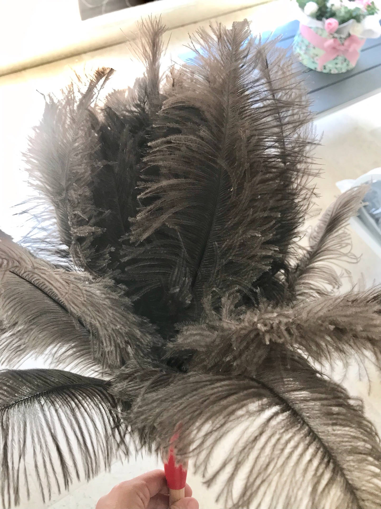 Feather Duster