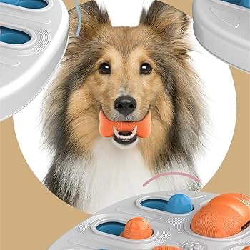 Dog Puzzle Toy