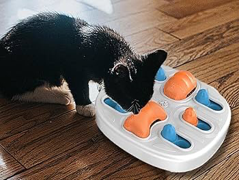 Dog Puzzle Toy