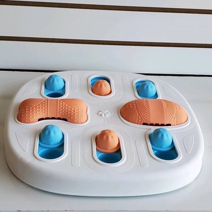 Dog Puzzle Toy