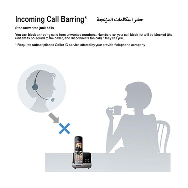 Cordless Phone (KX-TG6711)