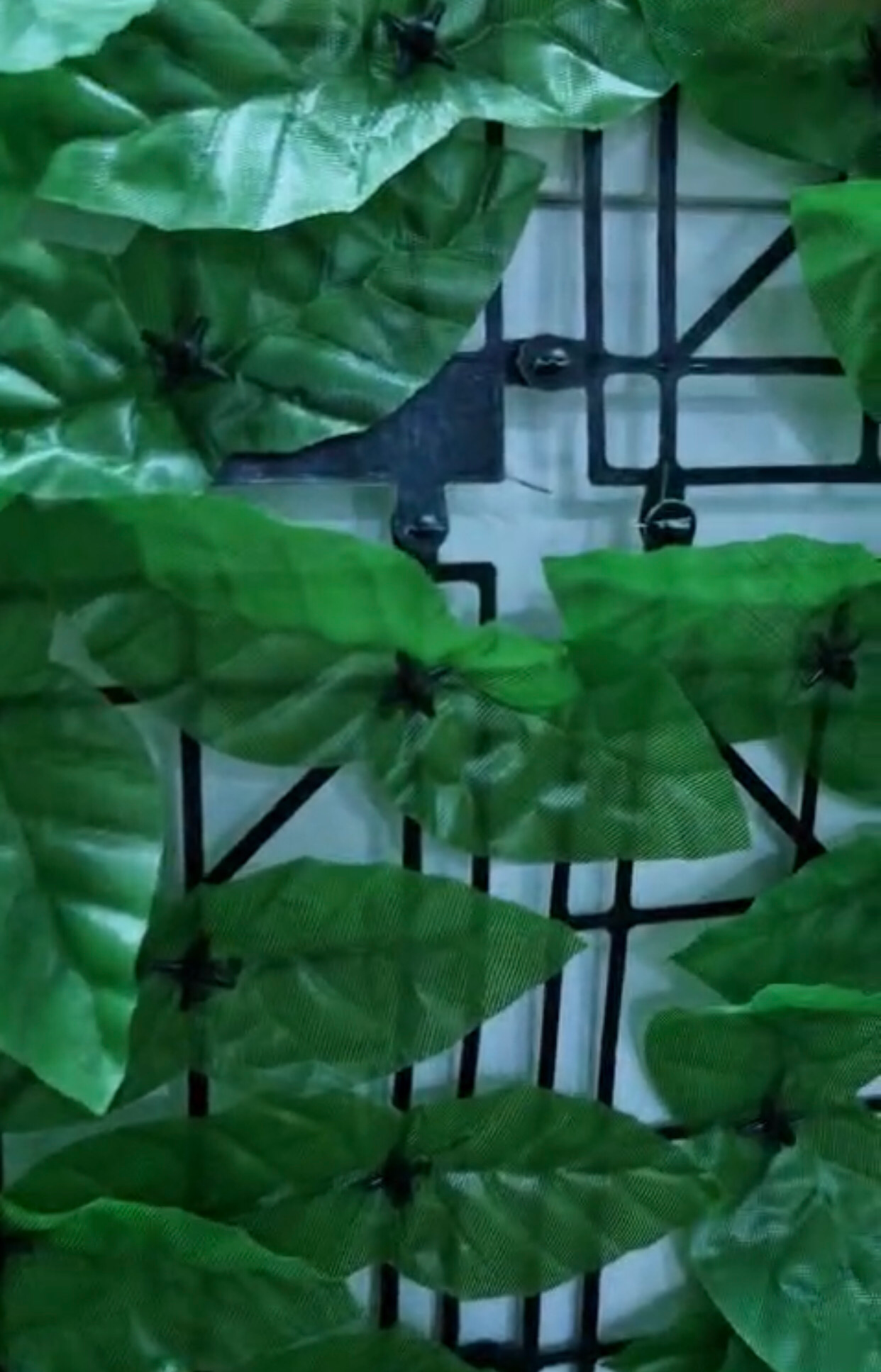 Artificial Leaves Hence