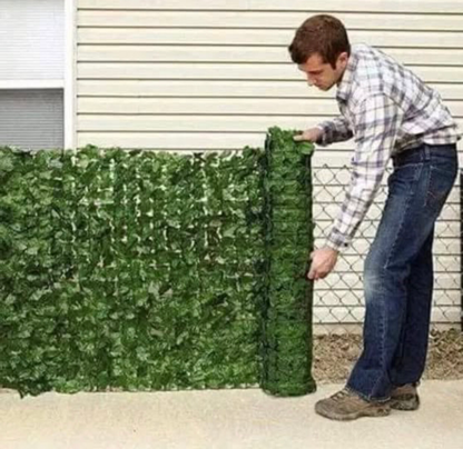 Artificial Leaves Hence
