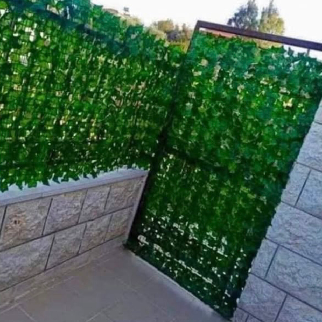 Artificial Leaves Hence
