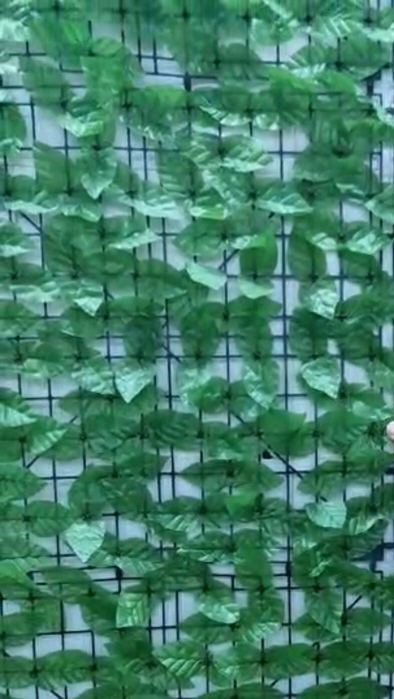 Artificial Leaves Hence