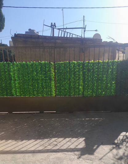 Artificial Leaves Hence