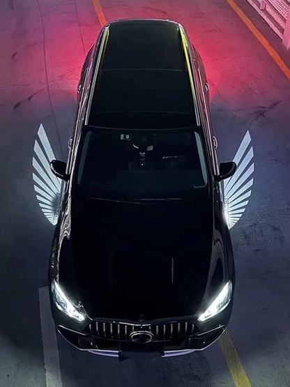 Car Wings Light