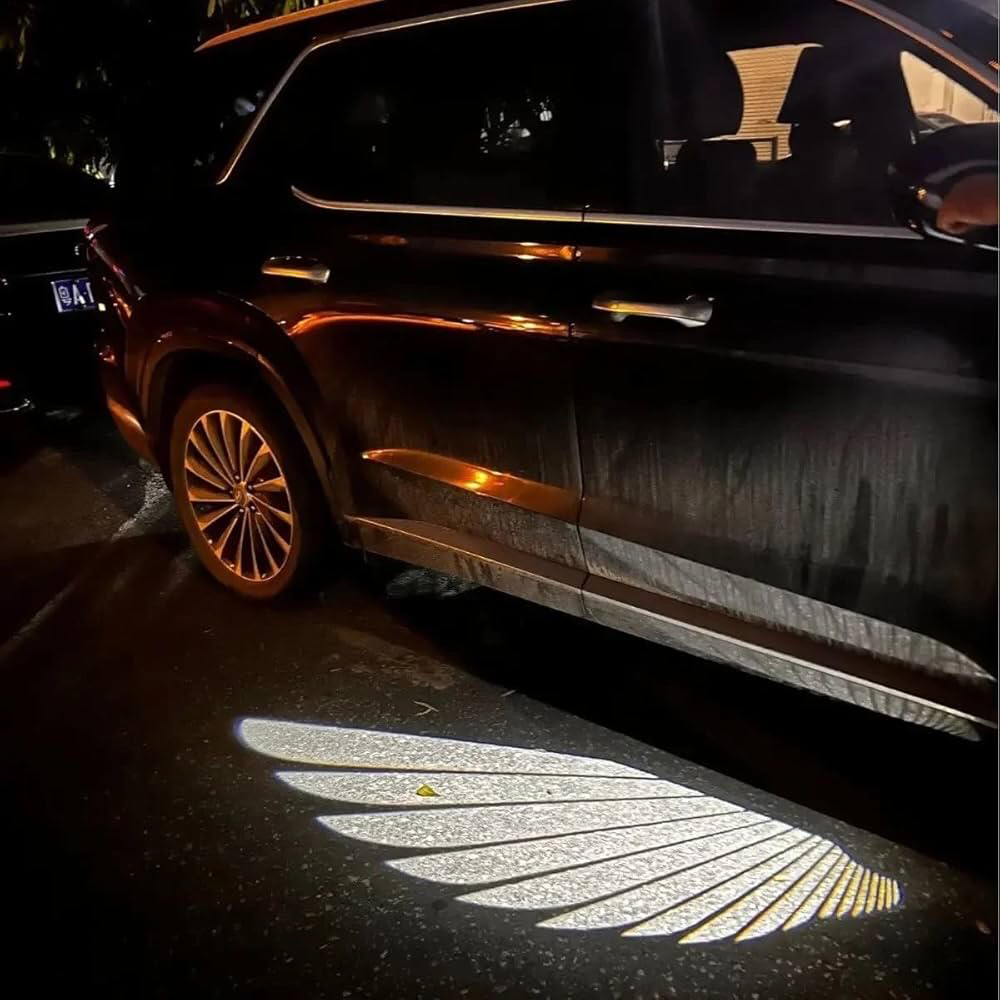Car Wings Light