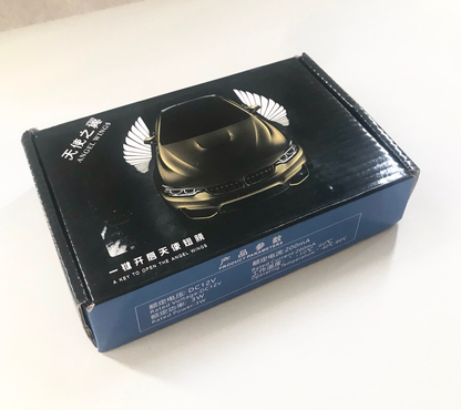 Car Wings Light
