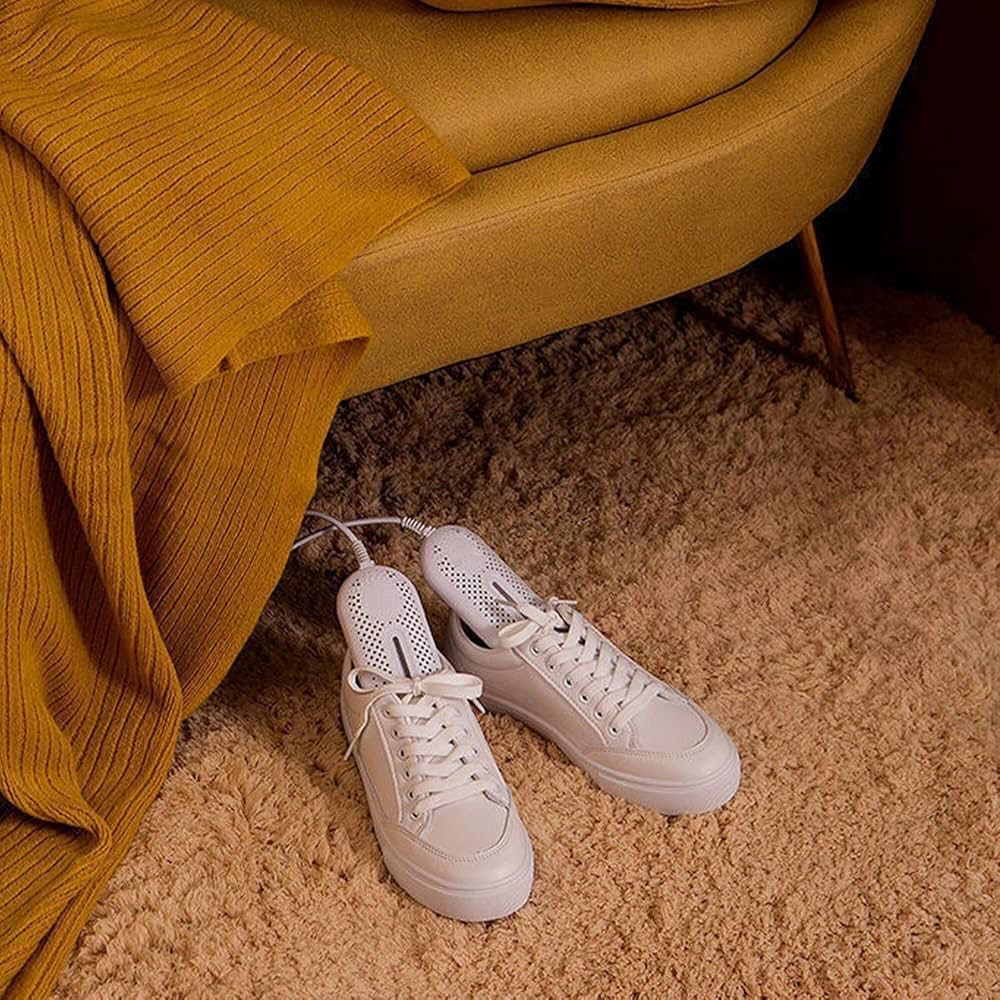 Electric Shoe Dryer